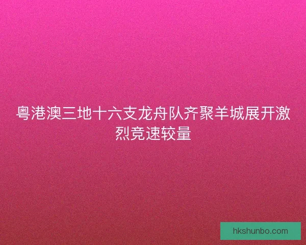 粤港澳三地十六支龙舟队齐聚羊城展开激烈竞速较量