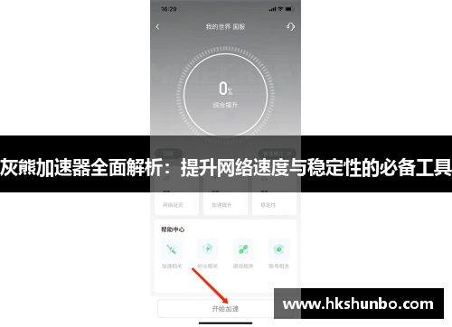 灰熊加速器全面解析：提升网络速度与稳定性的必备工具
